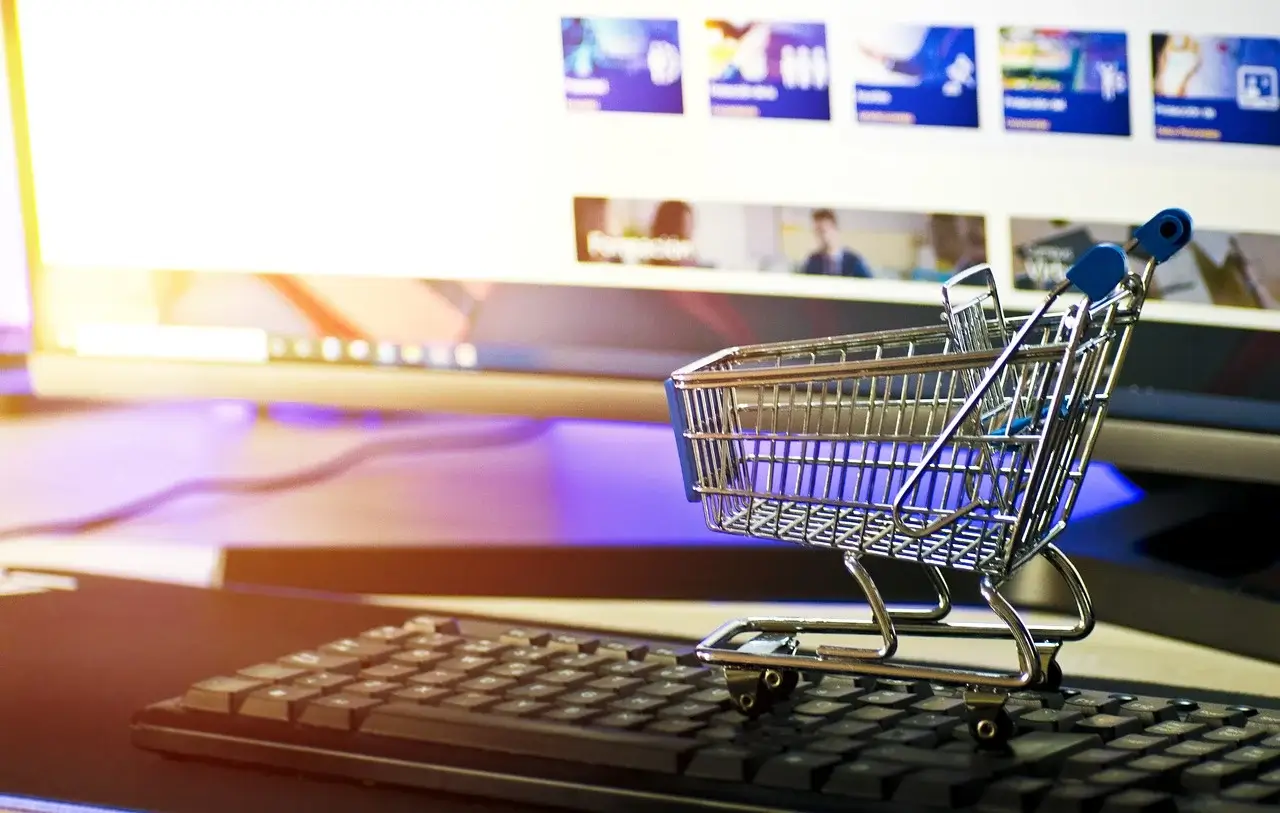 Ecommerce Websites That Drive Sales Fast in Texas