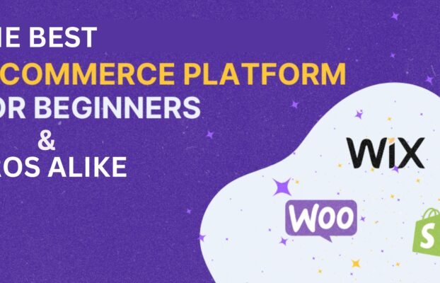 The Best Ecommerce Platform for Beginners and Pros Alike