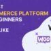 Best ecommerce platform