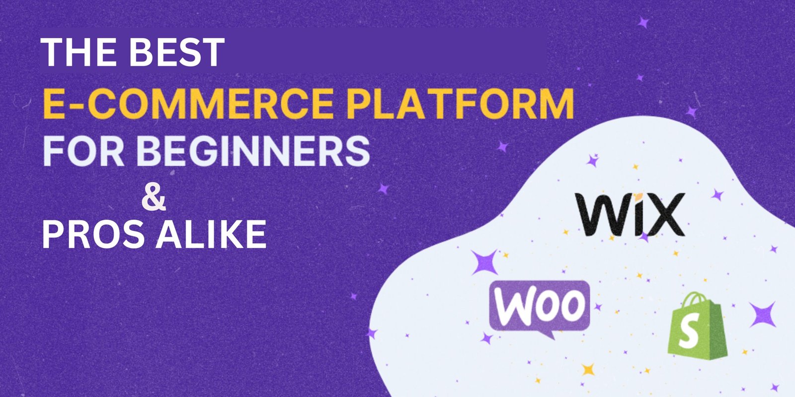 The Best Ecommerce Platform for Beginners and Pros Alike